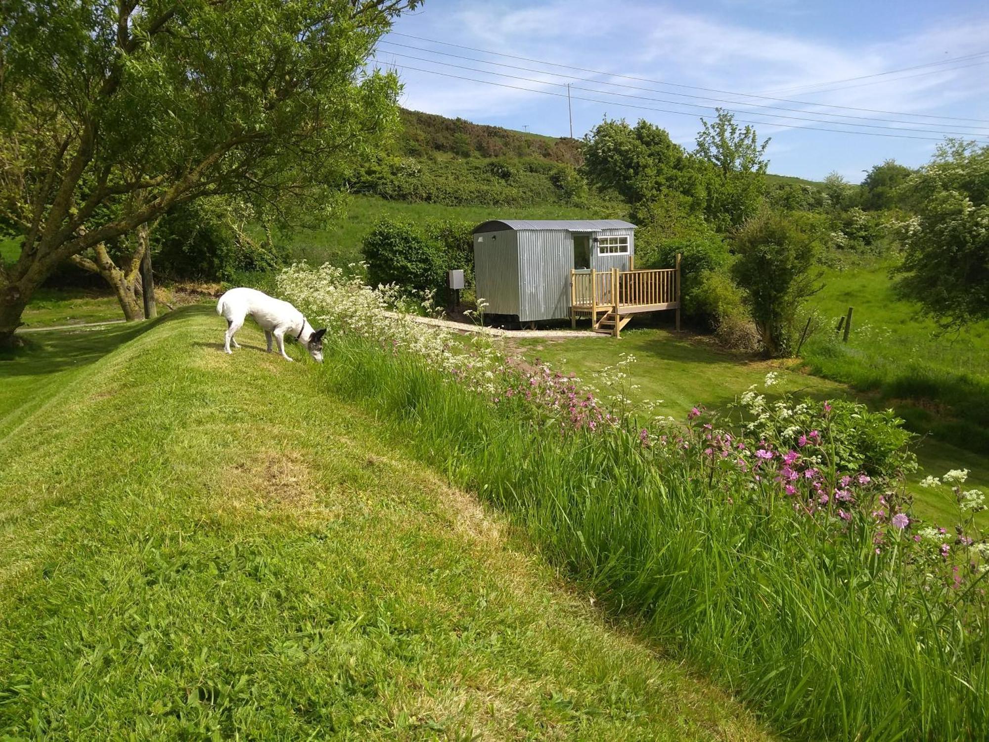 Shepherds Hut Weymouth Zewnętrze zdjęcie